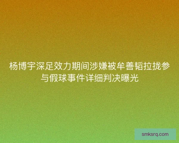 杨博宇深足效力期间涉嫌被牟善韬拉拢参与假球事件详细判决曝光
